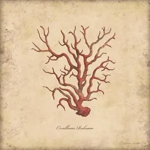 Fonte Di Mare Porto SantʼElpidio